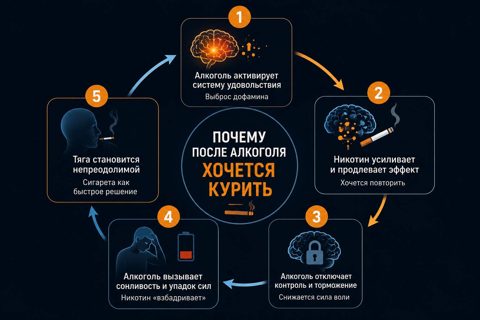 Инфографика: почему после алкоголя резко усиливается тяга к курению
